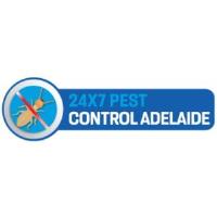 247 Spider Control Adelaide image 1